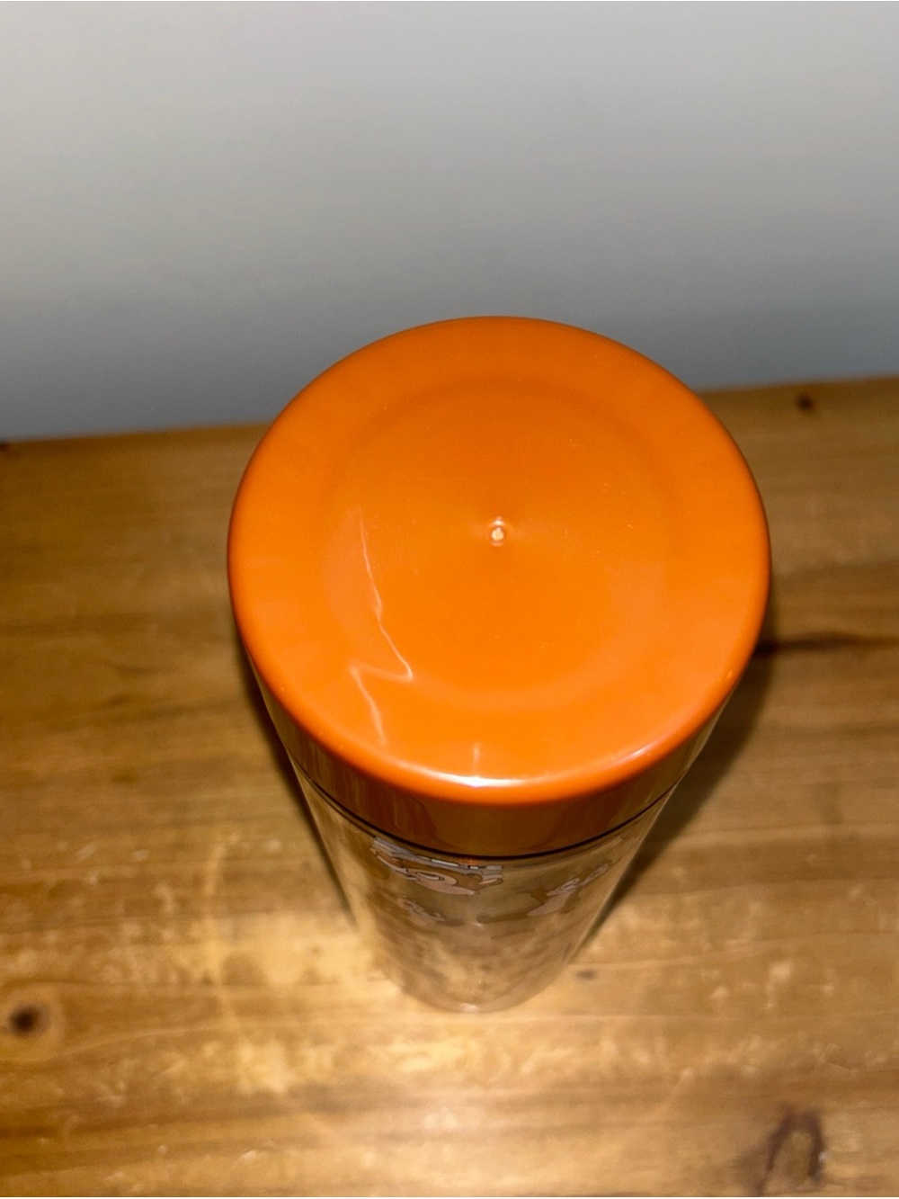 Disney Parks 2025 Chip and Dale Brown Water Bottle Tumbler - Picture 3 of 7